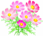 �I�X�X�����i�̏Љ�