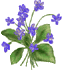�R�G���U�C���p�P�O�Ƃ́H
